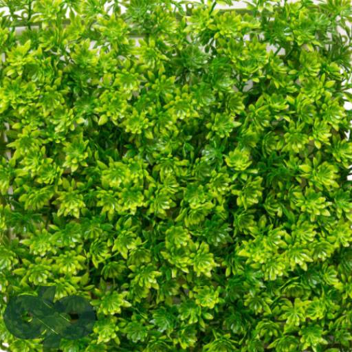 گرین وال(دیوار سبز) سبز خورشیدی سبز 25 در 25